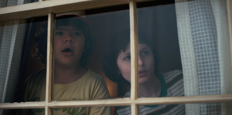 (Gaten Matarazzo, Finn Wolfhard) (Photo: Netflix)